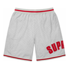 SUPREME ULTRASUEDE MESH SHORT GREY