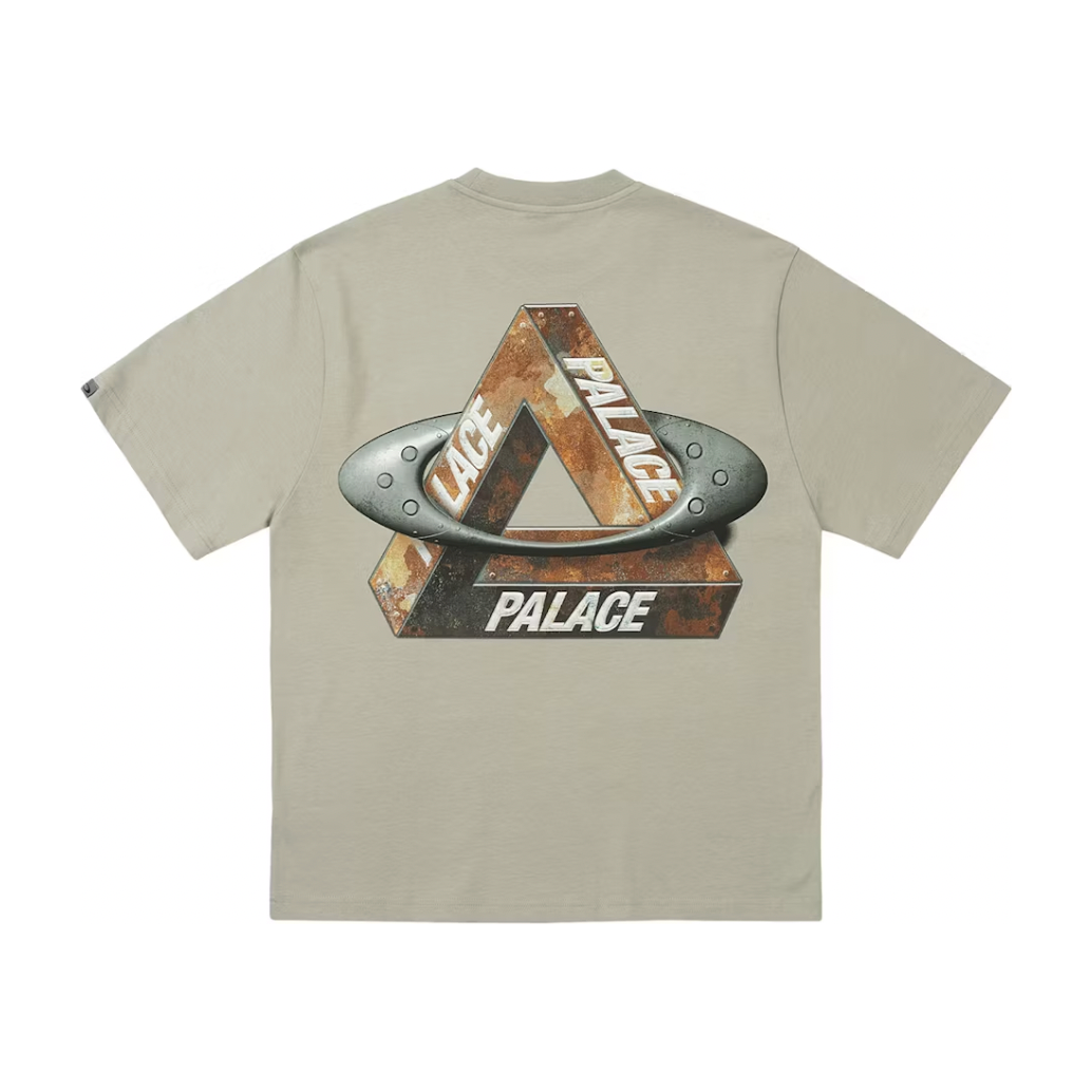 Palace x Oakley T-Shirt (FW24) Grey