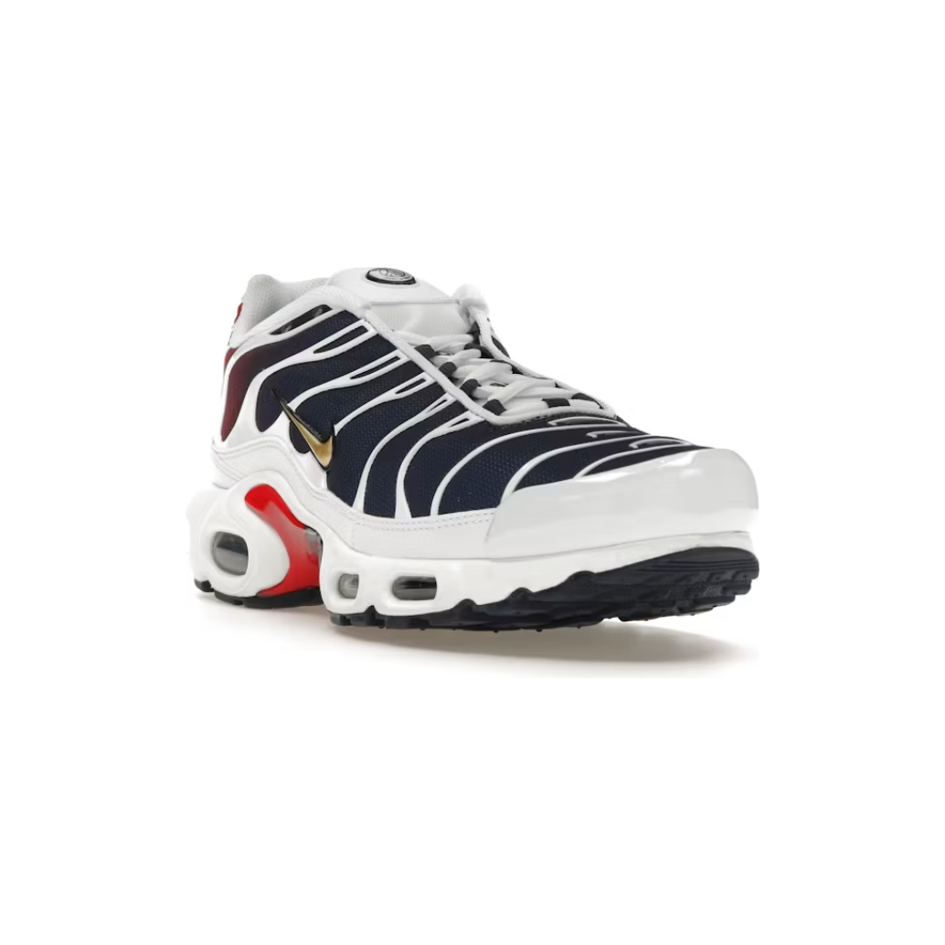 Nike Air Max Plus TN PSG