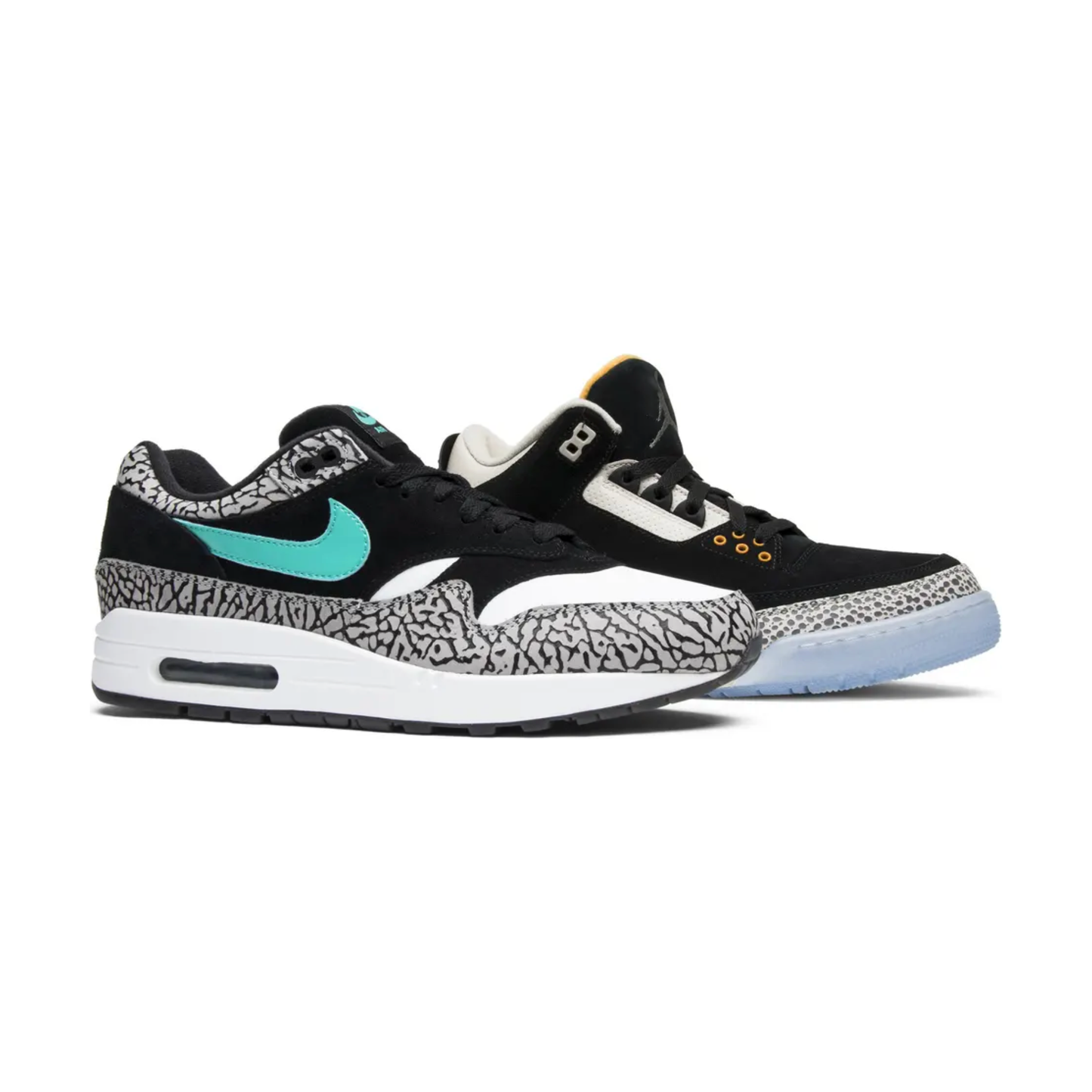 Jordan 3 Retro & Nike Air Max 1 atmos Pack