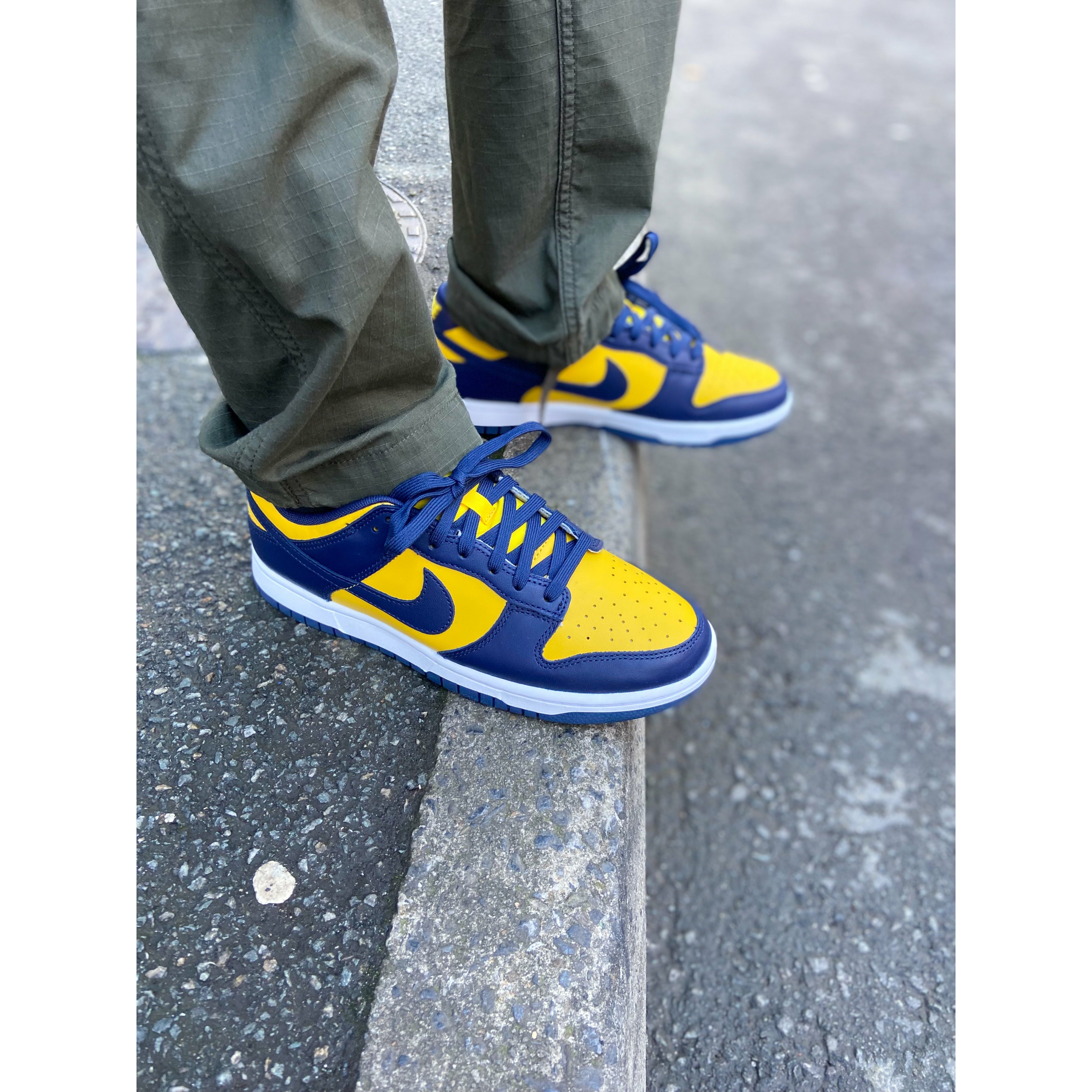 Nike Dunk Low Michigan (2021/2023) (GS)