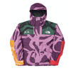 KAWS x The North Face Retro 1986 Mountain Jacket Pamplona Purple