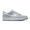 Nike Dunk Low Two-Toned (GS)